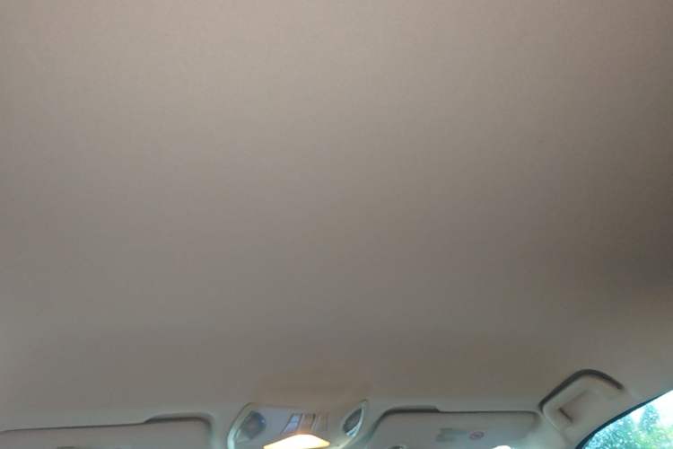 Used GAC Trumpchi GS5 2014 2.0L Automatic Two-Wheel Drive Deluxe Edition Headliner