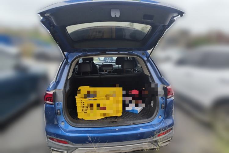 Used GAC Trumpchi GS5 2019 270T Automatic Luxury Edition Trunk