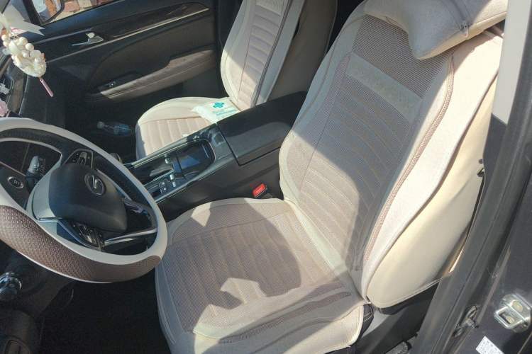 Used GAC Trumpchi GS5 2019 270T Automatic Elite Edition Left Front Seat