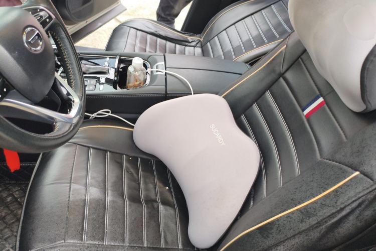 Used GAC Trumpchi GS5 2019 270T Automatic Luxury Edition Left Front Seat
