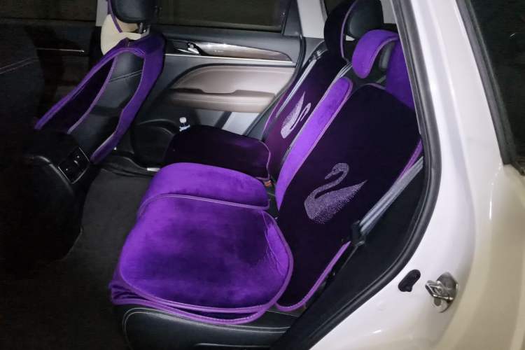 Used GAC Trumpchi GS5 2019 270T Automatic Luxury Edition Left Rear Seat