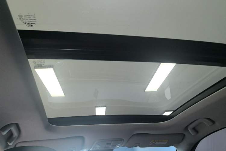 Used GAC Trumpchi GS5 2020 Advanced Model 270T Automatic Luxury Edition Headliner