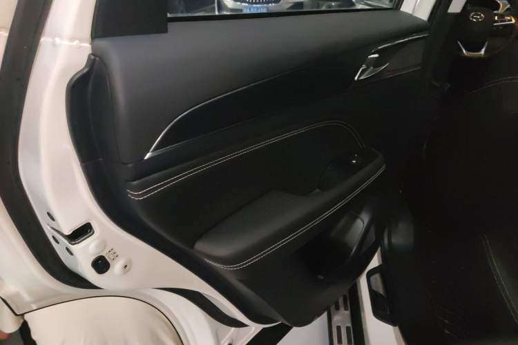 Used GAC Trumpchi GS5 2020 Advanced Model 270T Automatic Luxury Edition Left Rear Door Interior