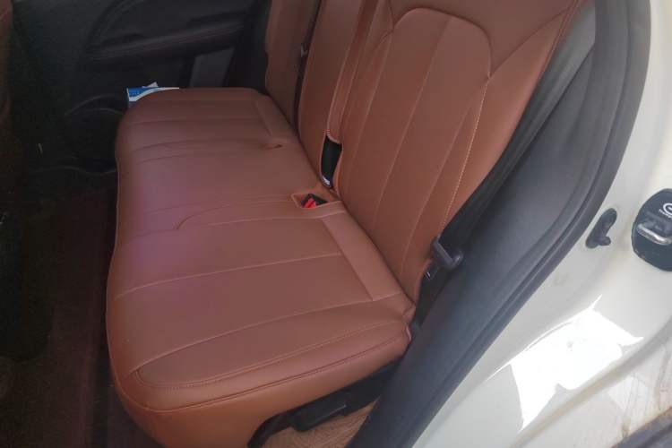 Used GAC Trumpchi GS5 2020 Advanced Model 270T Automatic Luxury Edition Left Rear Seat