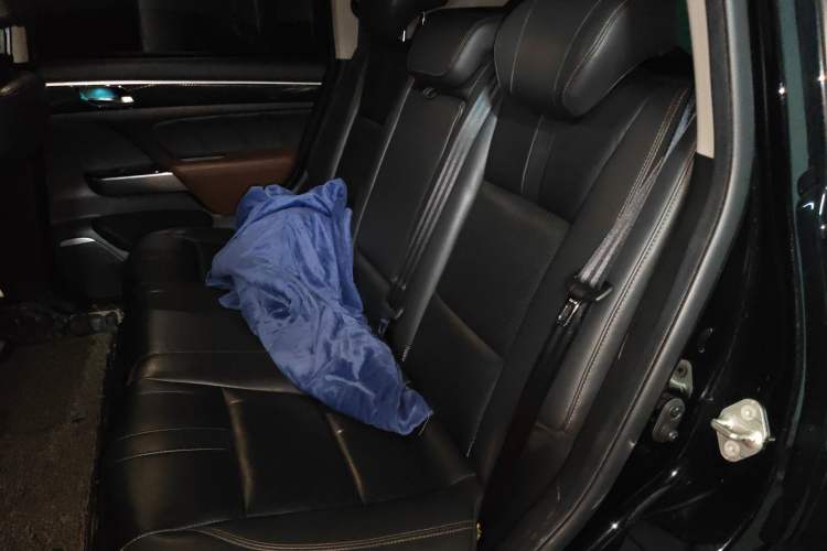 Used GAC Trumpchi GS7 2017 320T Two-Wheel-Drive Luxury Smart Connectivity Model Left Rear Seat