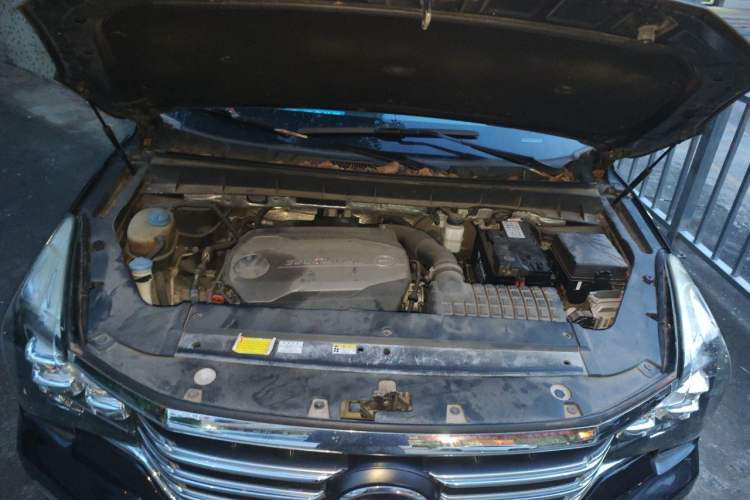 Used GAC Trumpchi GS8 2017 320T Two-Wheel Drive Prestige Version (7 Seats) Engine Bay