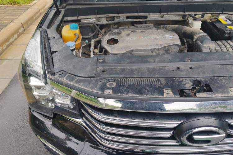 Used GAC Trumpchi GS8 2017 320T Two-Wheel Drive Luxury Smart Connectivity Version (7 Seats) Engine Bay Right