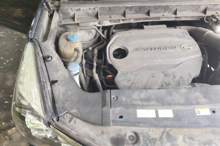 Used GAC Trumpchi GS8 2017 320T Two-Wheel Drive Luxury Smart Connectivity Version (7 Seats) Engine Bay Right