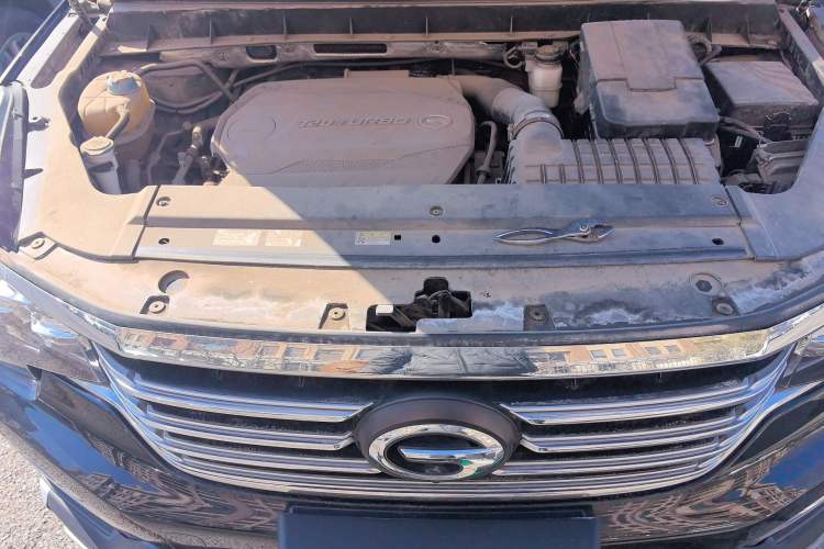 Used GAC Trumpchi GS8 2017 320T Four-Wheel Drive Luxury Smart Connectivity Version (7 Seats) Engine Bay Right