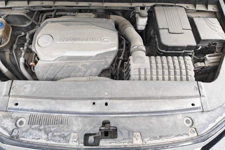 Used GAC Trumpchi GS8 2017 320T Four-Wheel Drive Luxury Smart Connectivity Version (7 Seats) Engine Bay