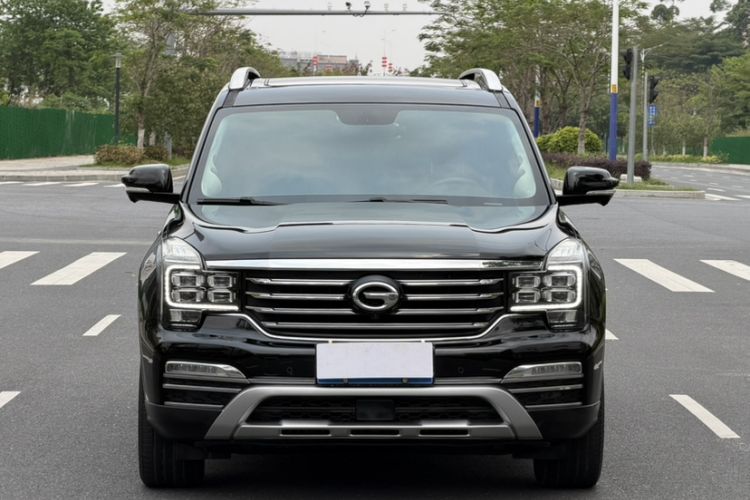 Used GAC Trumpchi GS8 2017 320T Two-Wheel Drive Luxury Smart Connectivity Version (7 Seats) Exterior 3