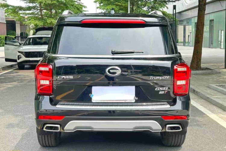Used GAC Trumpchi GS8 2017 320T Two-Wheel Drive Luxury Smart Connectivity Version (7 Seats) Exterior 8