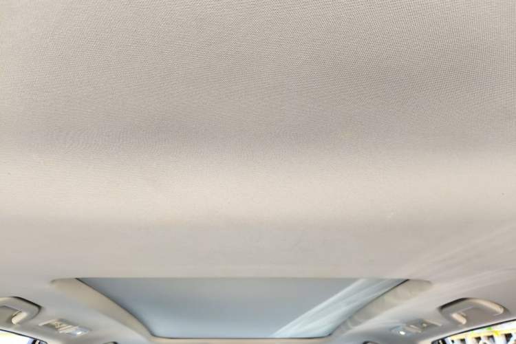 Used GAC Trumpchi GS8 2017 320T Two-Wheel Drive Luxury Smart Connectivity Version (7 Seats) Headliner
