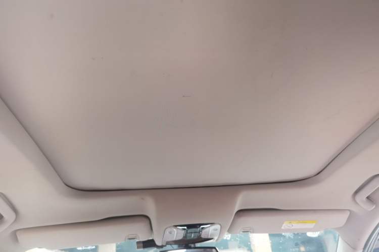 Used GAC Trumpchi GS8 2017 320T Two-Wheel Drive Luxury Smart Connectivity Version (7 Seats) Headliner