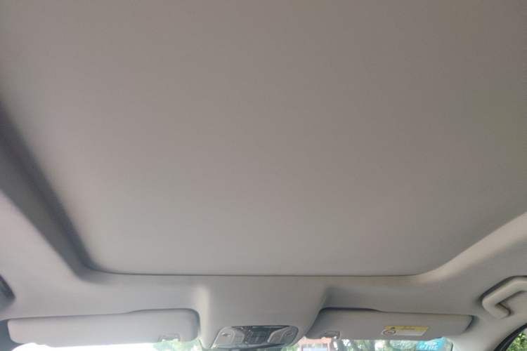 Used GAC Trumpchi GS8 2017 320T Two-Wheel Drive Luxury Smart Connectivity Version (7 Seats) Headliner