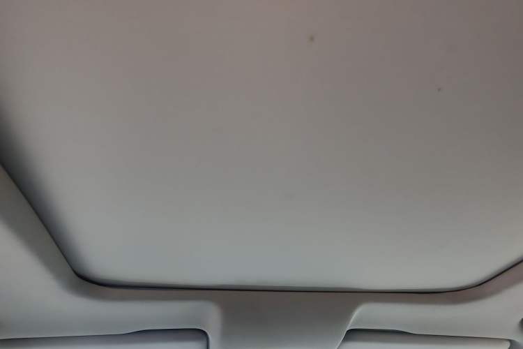 Used GAC Trumpchi GS8 2017 320T Two-Wheel Drive Luxury Smart Connectivity Version (7 Seats) Headliner