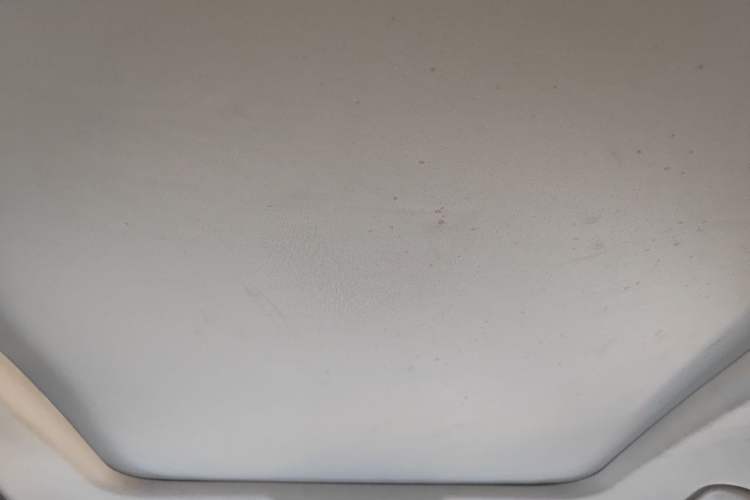 Used GAC Trumpchi GS8 2017 320T Two-Wheel Drive Luxury Smart Connectivity Version (7 Seats) Headliner