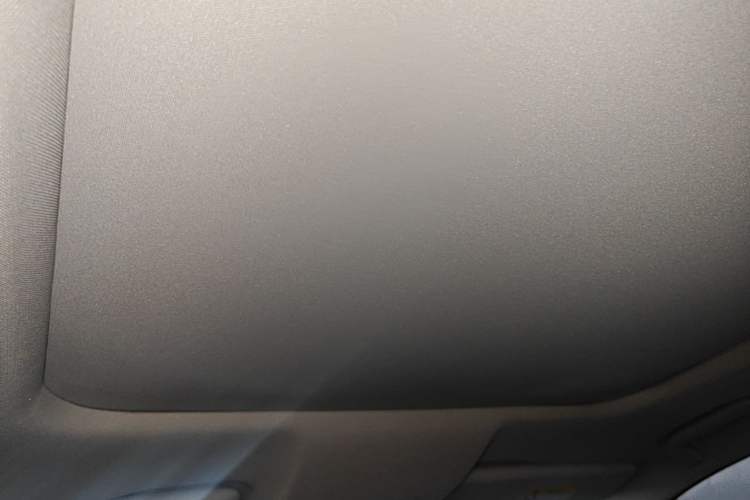 Used GAC Trumpchi GS8 2017 320T Four-Wheel Drive Luxury Smart Connectivity Version (7 Seats) Headliner