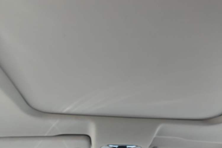 Used GAC Trumpchi GS8 2017 320T Two-Wheel Drive Luxury Smart Connectivity Version (7 Seats) Headliner