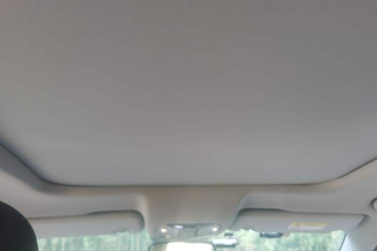 Used GAC Trumpchi GS8 2017 320T Two-Wheel Drive Luxury Smart Connectivity Version (7 Seats) Headliner