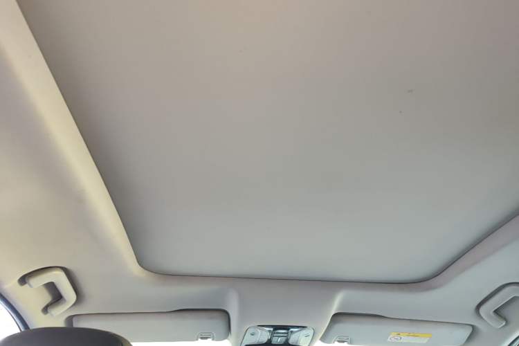 Used GAC Trumpchi GS8 2017 320T Two-Wheel Drive Luxury Smart Connectivity Version (7 Seats) Headliner