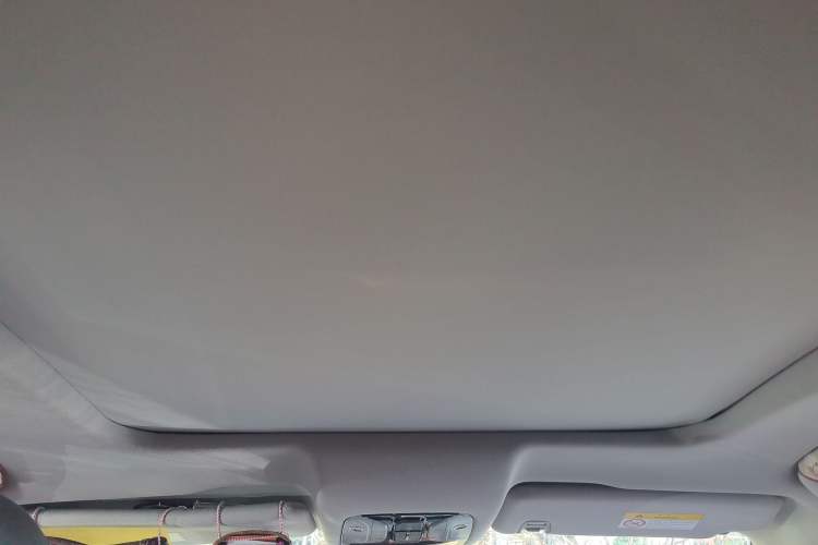 Used GAC Trumpchi GS8 2017 320T Four-Wheel Drive Luxury Smart Connectivity Version (7 Seats) Headliner
