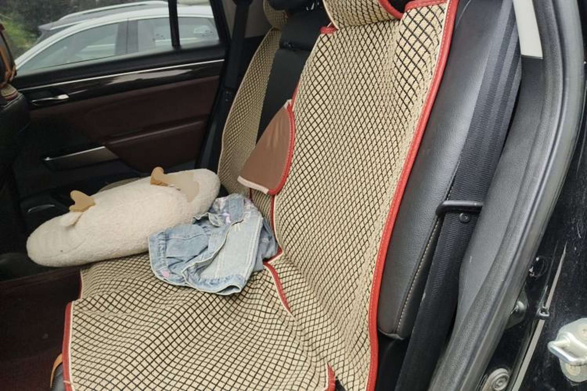 Used GAC Trumpchi GS8 2017 320T Two-Wheel Drive Luxury Smart Connectivity Version (7 Seats) Left Rear Seat