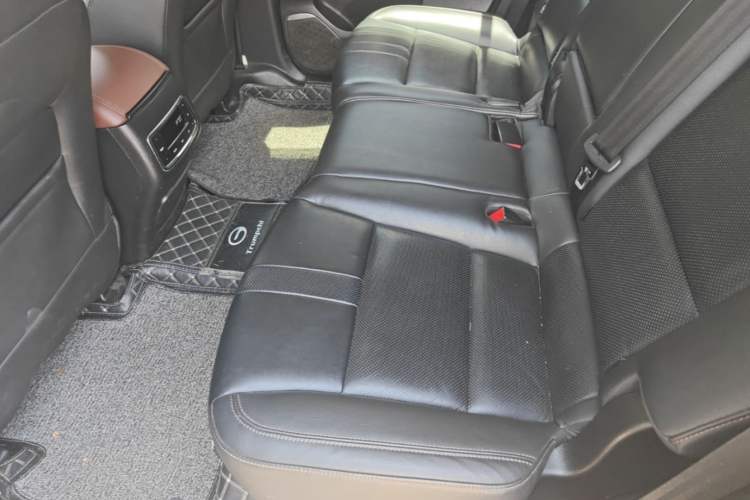 Used GAC Trumpchi GS8 2017 320T Two-Wheel Drive Luxury Smart Connectivity Version (7 Seats) Left Rear Seat