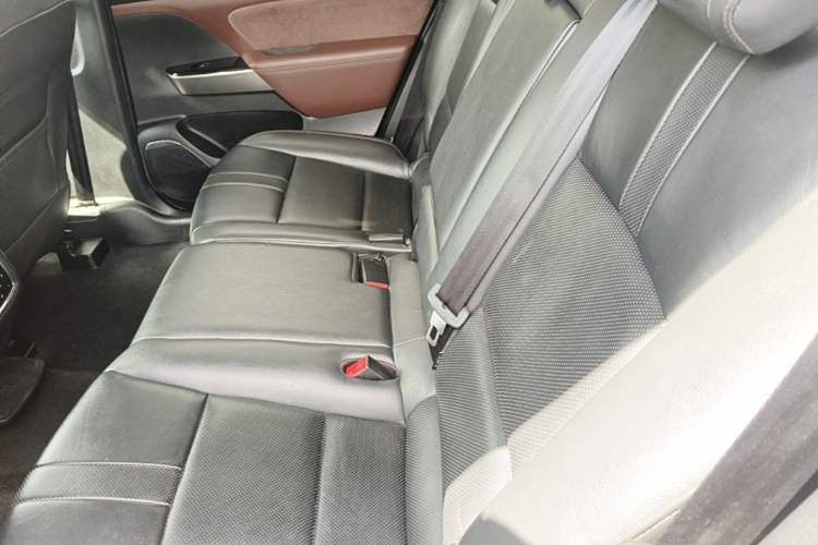 Used GAC Trumpchi GS8 2017 320T Two-Wheel Drive Luxury Smart Connectivity Version (7 Seats) Left Rear Seat