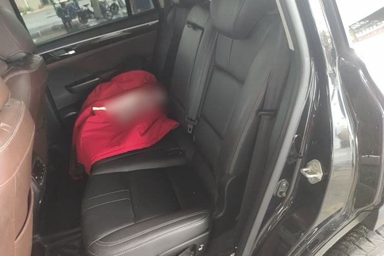 Used GAC Trumpchi GS8 2017 320T Four-Wheel Drive Luxury Smart Connectivity Version (7 Seats) Left Rear Seat
