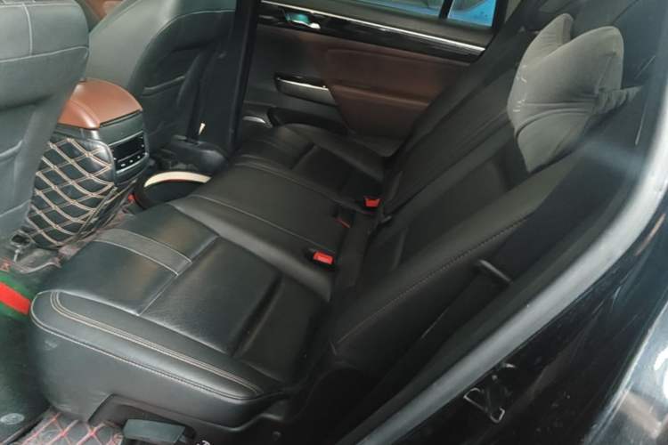 Used GAC Trumpchi GS8 2017 320T Two-Wheel Drive Luxury Smart Connectivity Version (7 Seats) Left Rear Seat