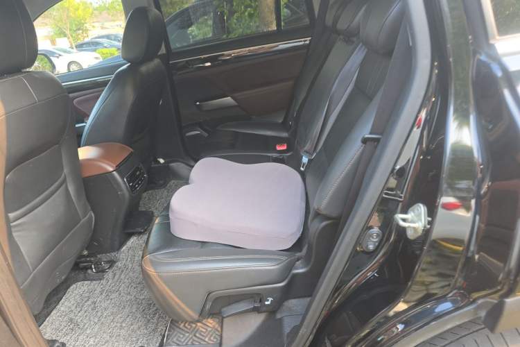 Used GAC Trumpchi GS8 2017 320T Four-Wheel Drive Luxury Smart Connectivity Version (7 Seats) Left Rear Seat