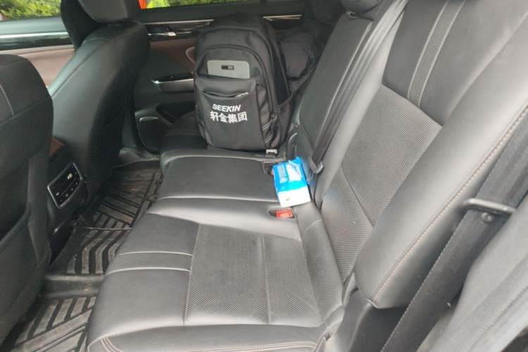 Used GAC Trumpchi GS8 2017 320T Two-Wheel Drive Luxury Smart Connectivity Version (7 Seats) Left Rear Seat