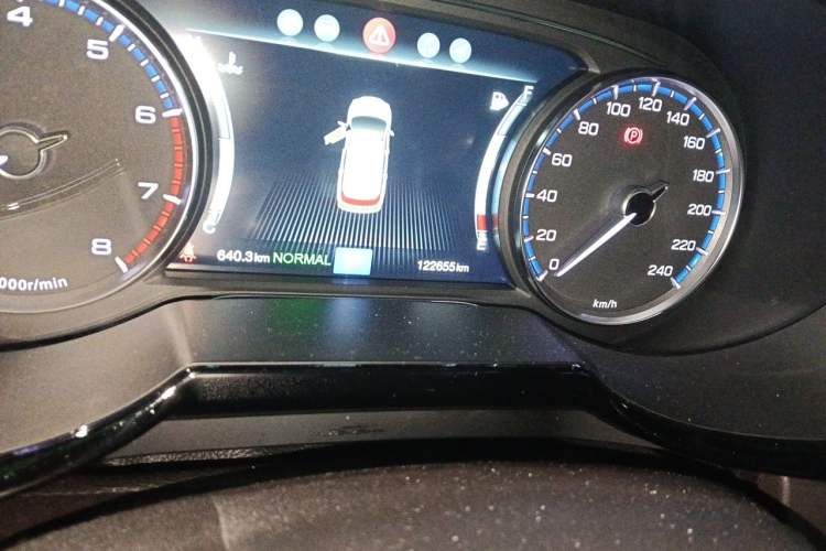 Used GAC Trumpchi GS8 2017 320T Two-Wheel Drive Luxury Smart Connectivity Version (7 Seats) Odometer Close Up