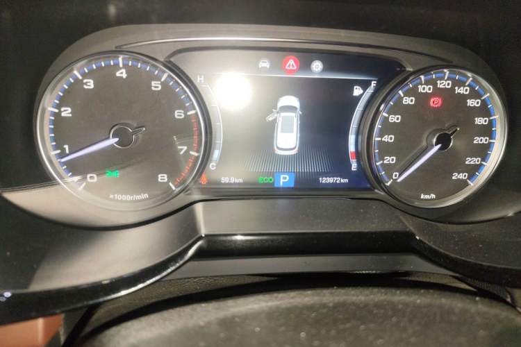 Used GAC Trumpchi GS8 2017 320T Two-Wheel Drive Luxury Edition (7 Seats) Odometer Close Up