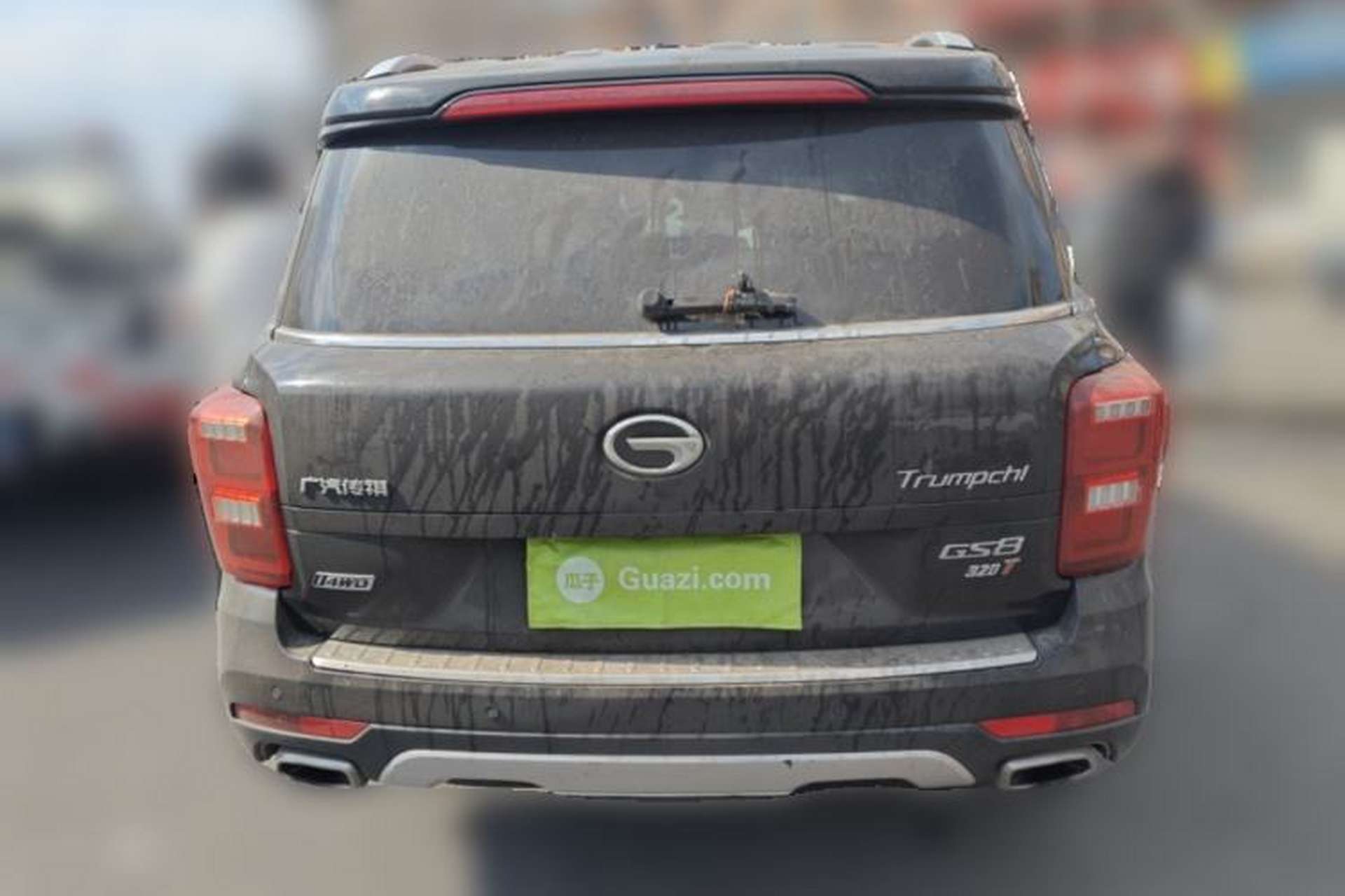 Used GAC Trumpchi GS8 2017 320T Four-Wheel Drive Luxury Smart Connectivity Version (7 Seats) Rear