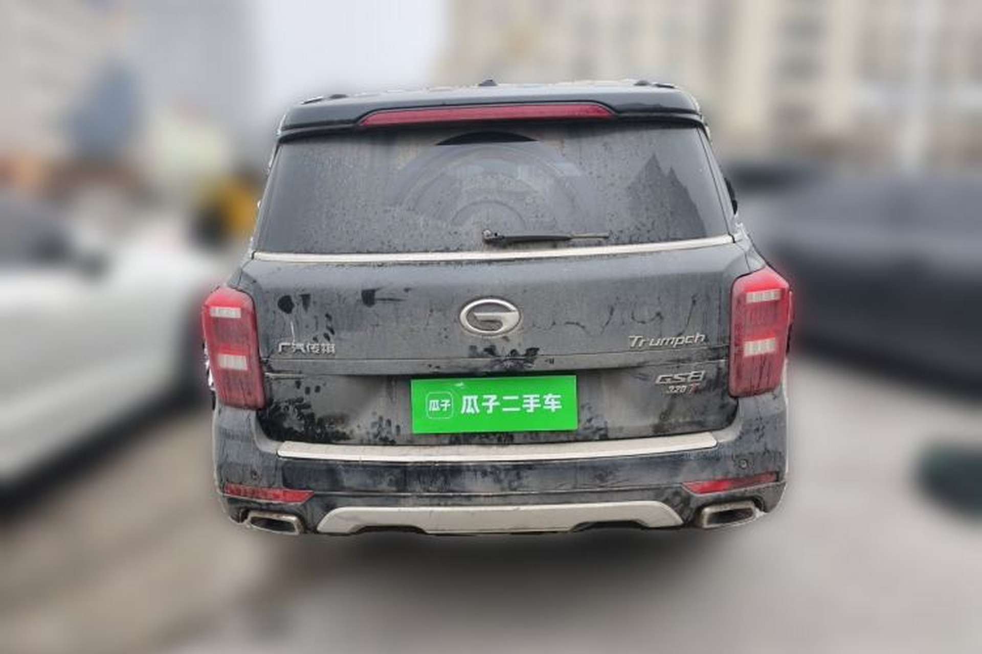 Used GAC Trumpchi GS8 2017 320T Two-Wheel Drive Luxury Smart Connectivity Version (7 Seats) Rear