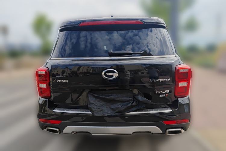 Used GAC Trumpchi GS8 2017 320T Two-Wheel Drive Luxury Smart Connectivity Version (7 Seats) Rear