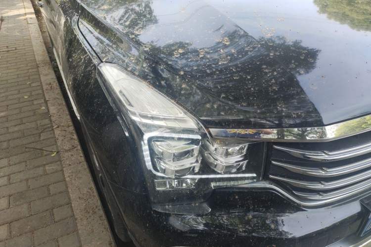 Used GAC Trumpchi GS8 2017 320T Two-Wheel Drive Luxury Smart Connectivity Version (7 Seats) Right Front Headlight