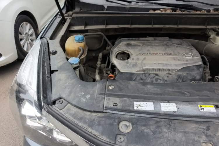 Used GAC Trumpchi GS8 2017 320T Two-Wheel Drive Luxury Smart Connectivity Version (7 Seats) Engine Bay Right
