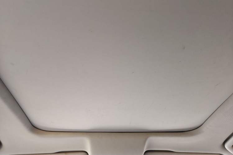 Used GAC Trumpchi GS8 2017 320T Two-Wheel Drive Luxury Smart Connectivity Version (7 Seats) Headliner
