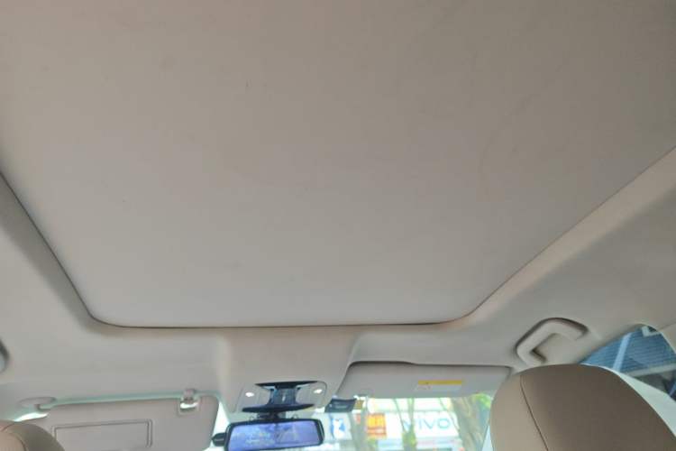 Used GAC Trumpchi GS8 2017 320T Two-Wheel Drive Luxury Smart Connectivity Version (7 Seats) Headliner