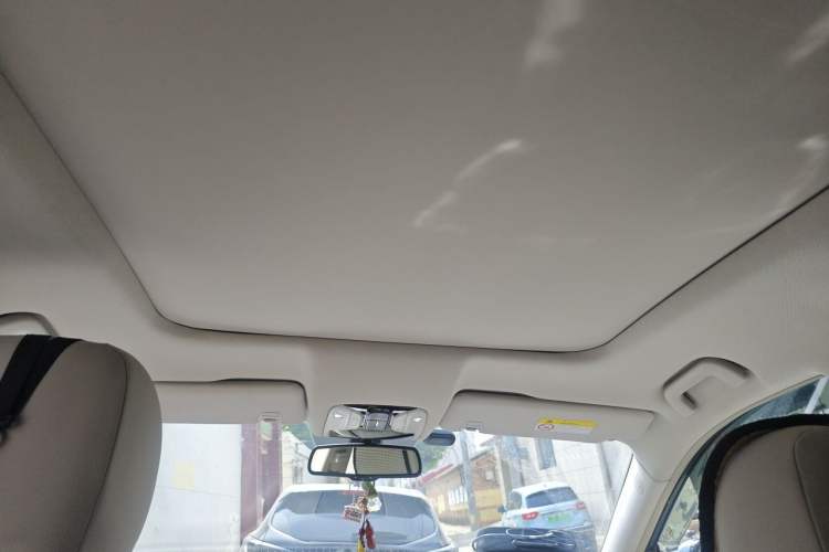 Used GAC Trumpchi GS8 2017 320T Two-Wheel Drive Luxury Smart Connectivity Version (7 Seats) Headliner