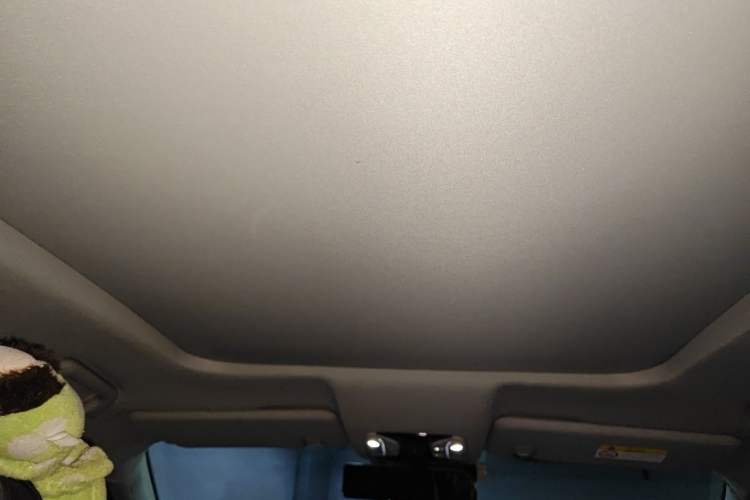 Used GAC Trumpchi GS8 2017 320T Two-Wheel Drive Luxury Smart Connectivity Version (7 Seats) Headliner