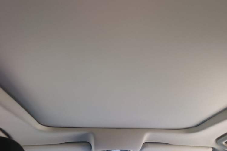 Used GAC Trumpchi GS8 2017 320T Two-Wheel Drive Luxury Smart Connectivity Version (7 Seats) Headliner