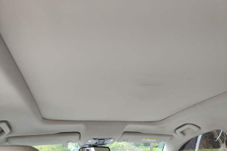 Used GAC Trumpchi GS8 2017 320T Two-Wheel Drive Luxury Smart Connectivity Version (7 Seats) Headliner