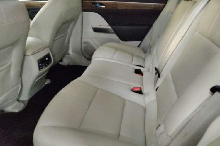 Used GAC Trumpchi GS8 2017 320T Two-Wheel Drive Luxury Smart Connectivity Version (7 Seats) Left Rear Seat