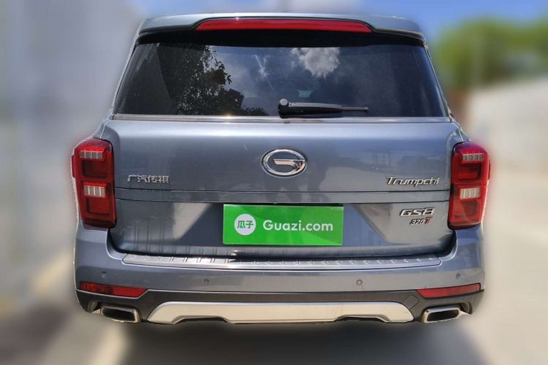 Used GAC Trumpchi GS8 2017 320T Two-Wheel Drive Luxury Smart Connectivity Version (7 Seats) Rear