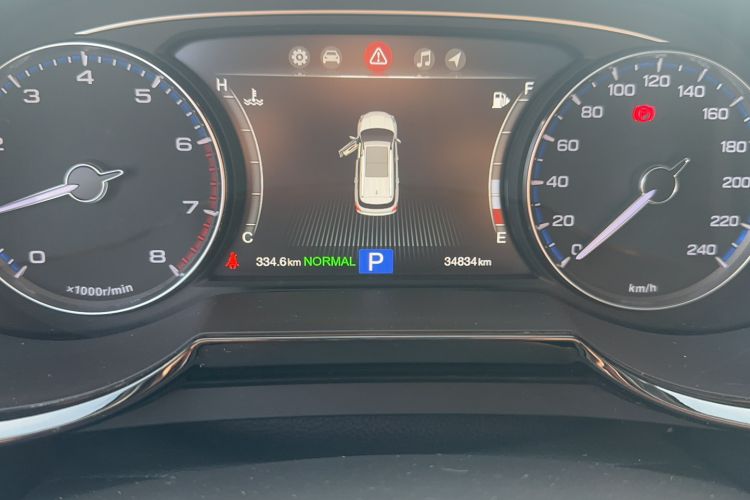 Used GAC Trumpchi GS8 2017 320T Two-Wheel Drive Luxury Smart Connectivity Version (7 Seats) Odometer Close Up