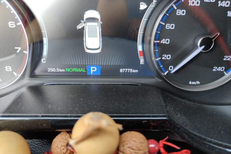 Used GAC Trumpchi GS8 2017 320T Two-Wheel Drive Luxury Edition (7 Seats) Odometer Close Up